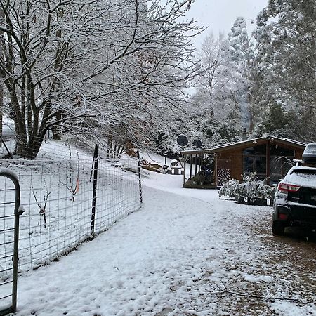 머리지그 Alpine Creek House 빌라 외부 사진